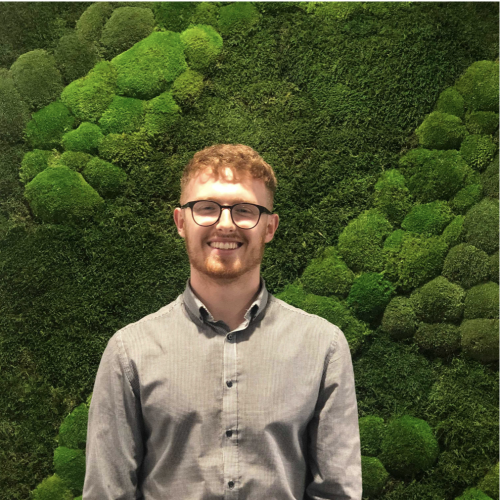 graduate lands job at British tea estate Will Dorrell Business and Entrepreneurship graduate standing in front of green moss wall.